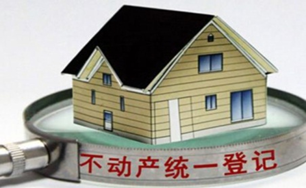 易彩堂官网不动产登记信息管理系统解决方案